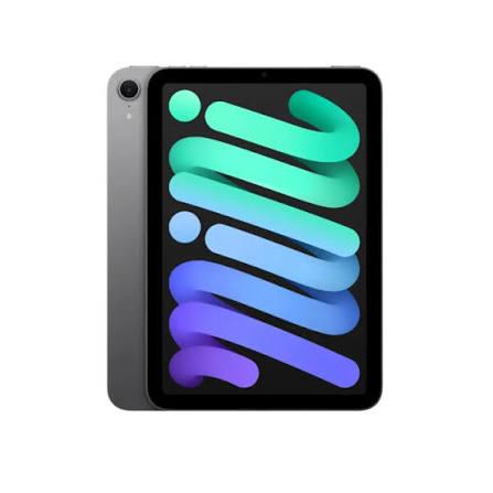 iPad mini